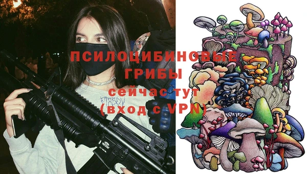 герыч Вязьма