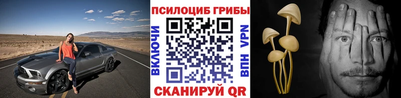 Галлюциногенные грибы мухоморы  цена   Томилино 